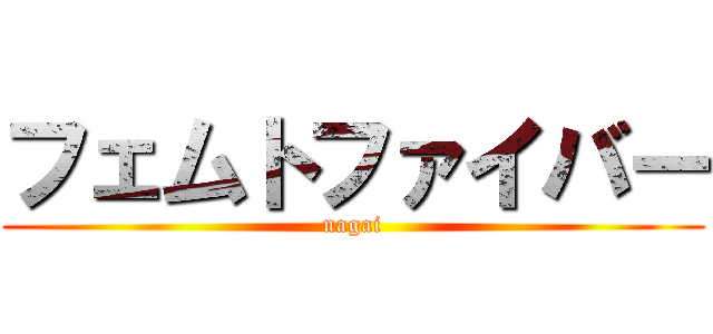 フェムトファイバー (nagai)