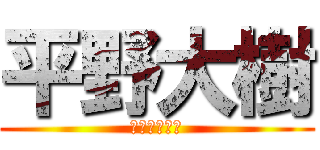 平野大樹 (ひらのだいき)