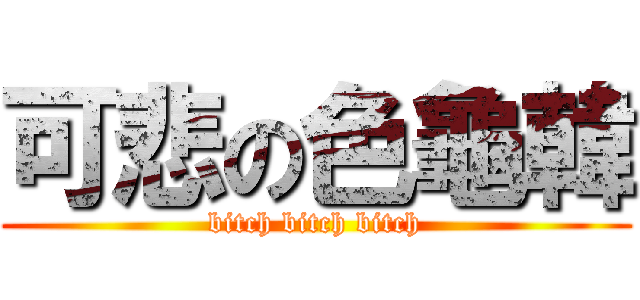 可悲の色龜韓 (bitch bitch bitch)