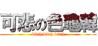 可悲の色龜韓 (bitch bitch bitch)