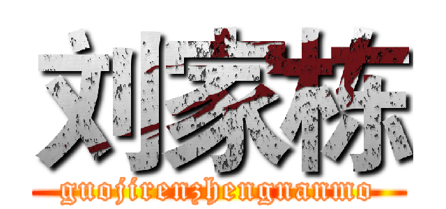 刘家栋 (guojirenzhengnanmo)