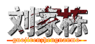 刘家栋 (guojirenzhengnanmo)