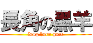 長角の黑羊 (long horn goat)