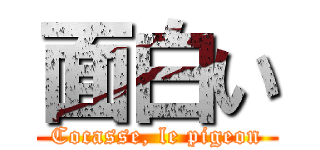 面白い (Cocasse, le pigeon)