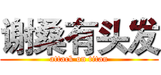 谢桑有头发 (attack on titan)