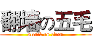 翻墙の五毛 (attack on titan)
