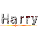 Ｈａｒｒｙ (Potter)