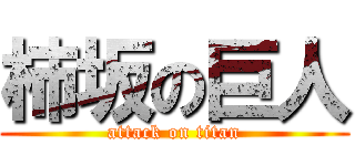 柿坂の巨人 (attack on titan)