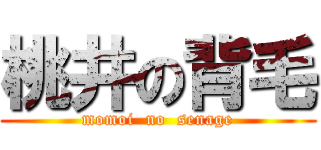 桃井の背毛 (momoi  no  senage)