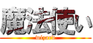 魔法使い (wizard)