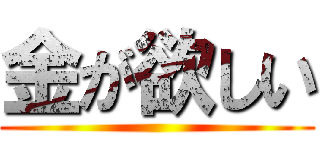 金が欲しい ()
