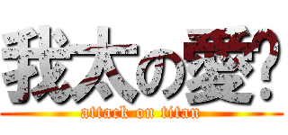 我太の愛妳 (attack on titan)