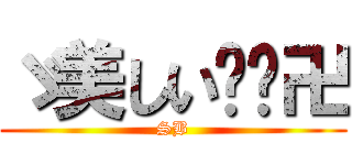 ゞ美しい╰鑫卍 (SB)