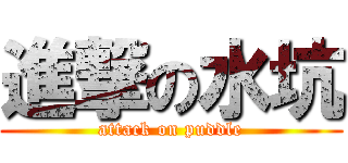 進撃の水坑 (attack on puddle)