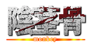 陰茎骨 (monkey)