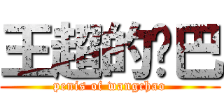 王超的鸡巴 (penis of wangchao)