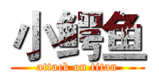 小鳄鱼 (attack on titan)