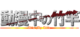 動漫中の竹竿 (It\'s My Life)