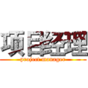 项目经理 (project manager)