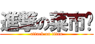 進撃の菜市场 (attack on titan)