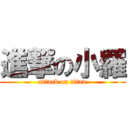 進撃の小羅 (attack on titan)