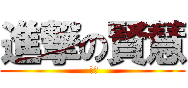進撃の賢慧 ( 安安)