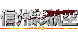 信州彩航空 (air SN)