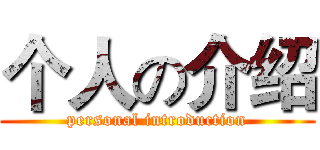 个人の介绍 (personal introduction)