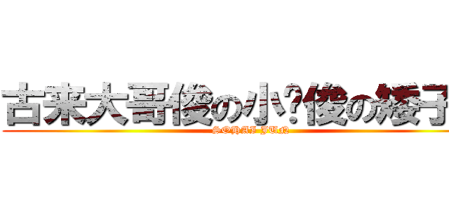 古来大哥俊の小鸟俊の矮子俊 (SOHAI JUN)