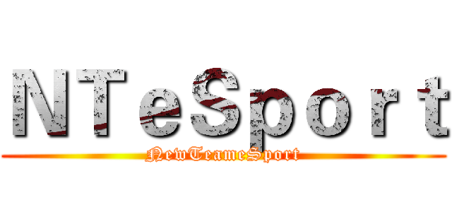 ＮＴｅＳｐｏｒｔ (NewTeameSport)