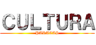ＣＵＬＴＵＲＡ (PARACAS)