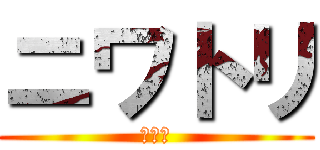 ニワトリ (バーカ)