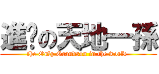 進擊の天地一孫 (the Only Grandson in the world )