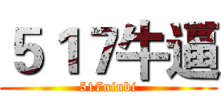 ５１７牛逼 (517niubi)