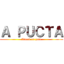 Ａ ＰＵＣＴＡ (Atacck on poto)