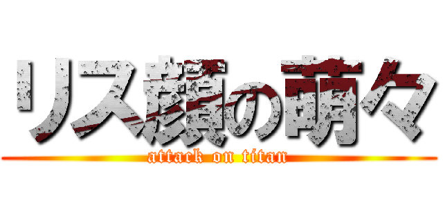 リス顔の萌々 (attack on titan)