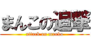 まんこの追撃 (attack on manko)