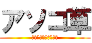 アソコ草 (そんな貴方に朗報です)