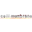 ｃｅｌｌ ｍｅｍｂｒａｎｅ (attack on gay)