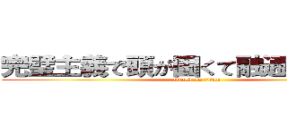 完璧主義で頭が固くて融通が利かない (attack on titan)