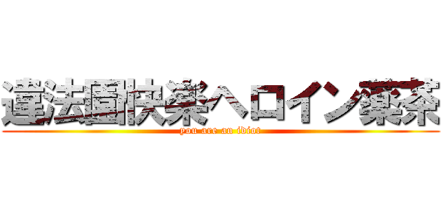 違法園快楽ヘロイン薬茶 (you are an idiot)