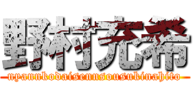 野村充希 (nyannkodaisennsousukinahito)