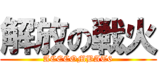 解放の戦火 (ACECOMBAT6)