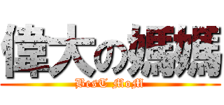 偉大の媽媽 (BesT MoM)