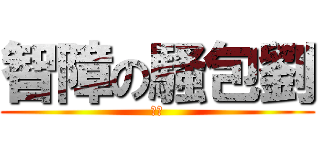智障の騷包劉 (哈哈)