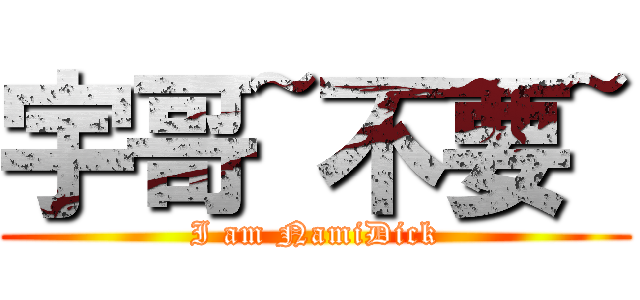 宇哥~不要~ (I am NamiDick)