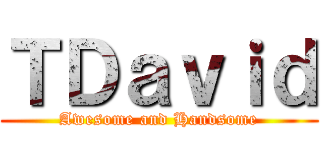 ＴＤａｖｉｄ (Awesome and Handsome)