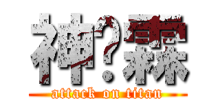 神彥霖 (attack on titan)