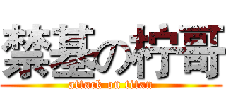 禁基の柠哥 (attack on titan)