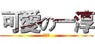 可愛の一淳 (敲可愛)